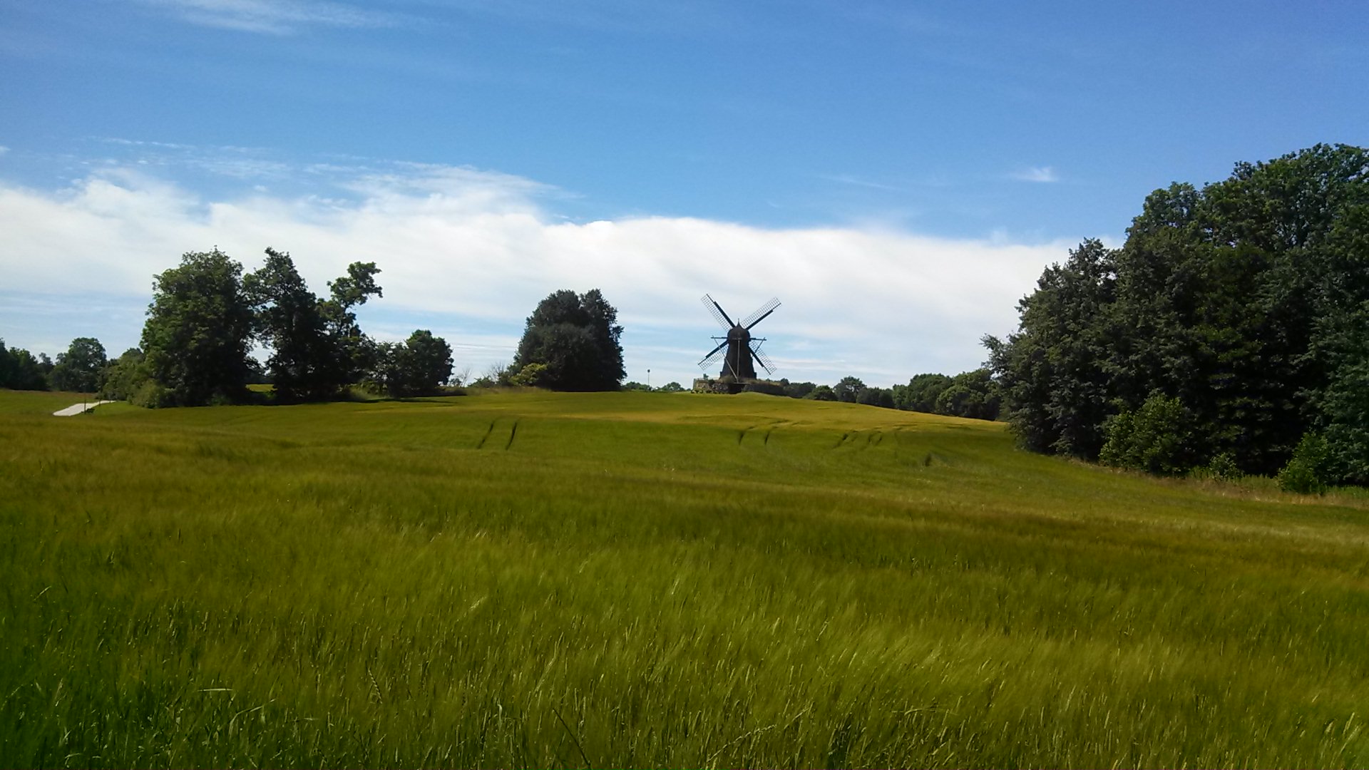 Eine Windmühle